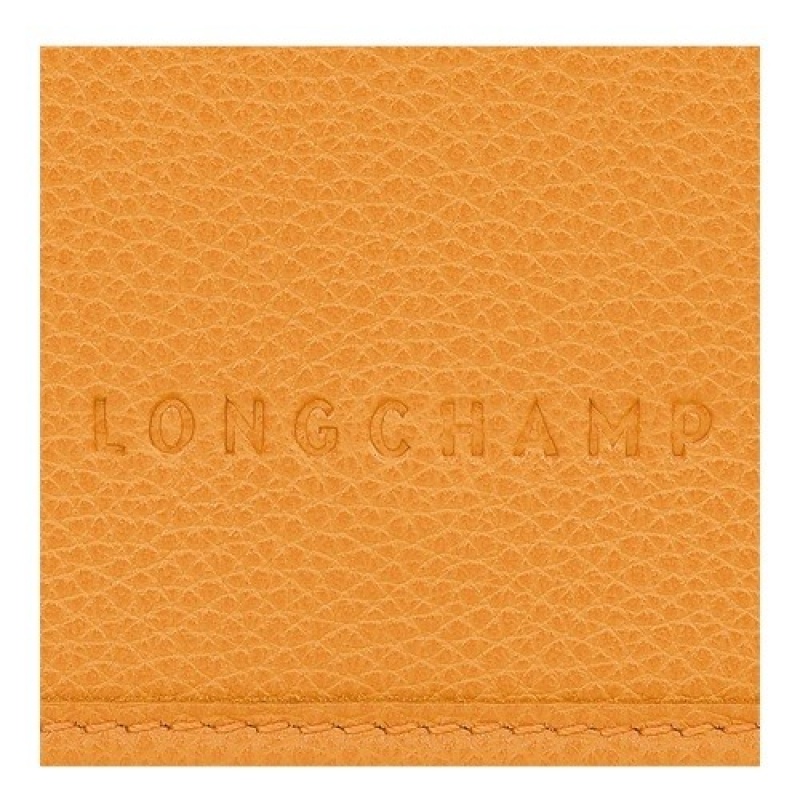 Longchamp Le Foulonné On Chain τσάντεσ χιαστί γυναικεια βερίκοκο | SN-LCMP47902